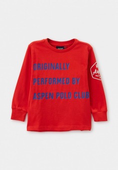 Лонгслив Aspen Polo Club